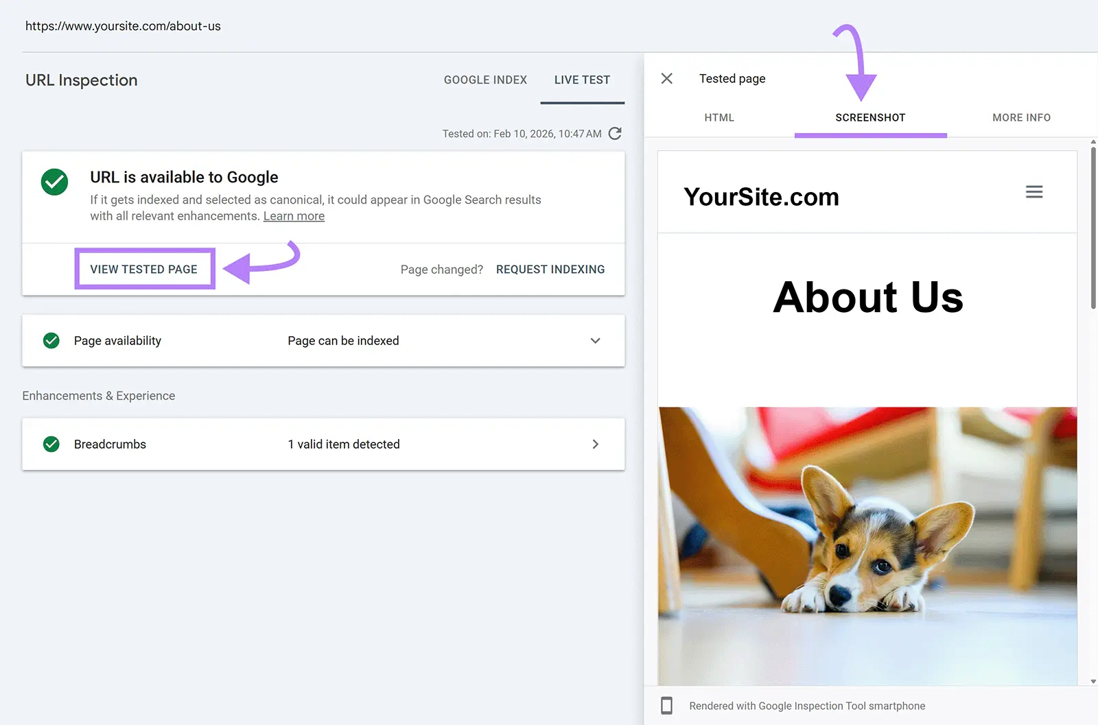 Google Search Console live URL test showing the tested About Us page and its rendered mobile screenshot
